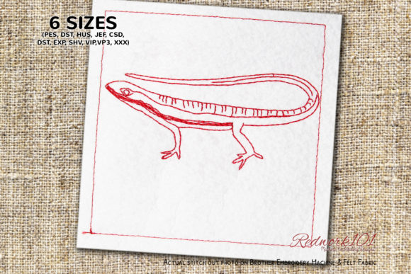 Long Tailed Lacertidae Redwork